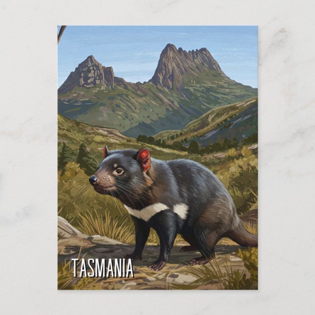Tasmanian Devil Cradle Mountain Travel Postcard (Front)