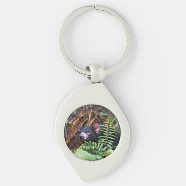 Tasmanian Devil Encounter Key Ring (Front)