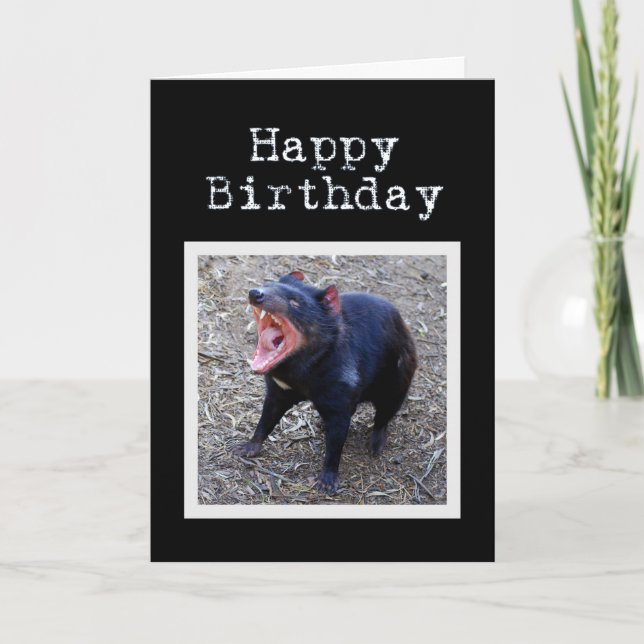 Tasmanian Devil Happy Birthday Card (Front)