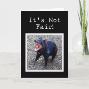 Tasmanian Devil Happy Birthday Humour Card