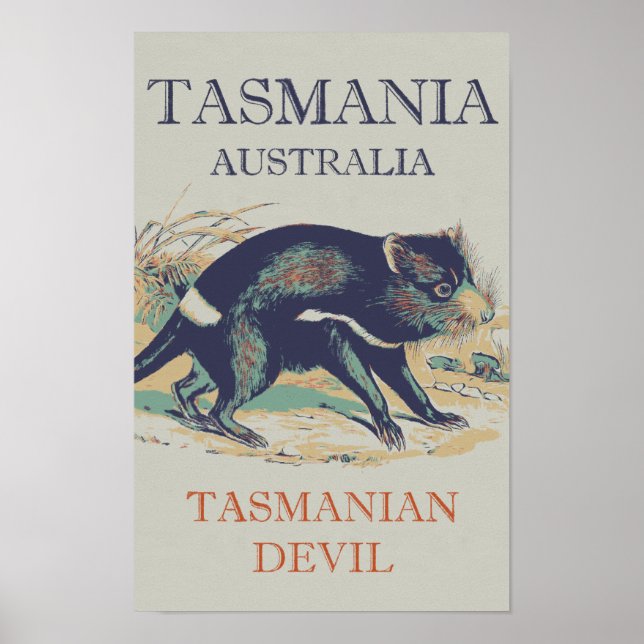 Tasmanian Devil, iconic animal Tasmania Australia Poster (Front)
