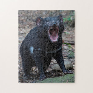 Tasmanian Devil in Tasmania Australia, 252 pieces Jigsaw Puzzle