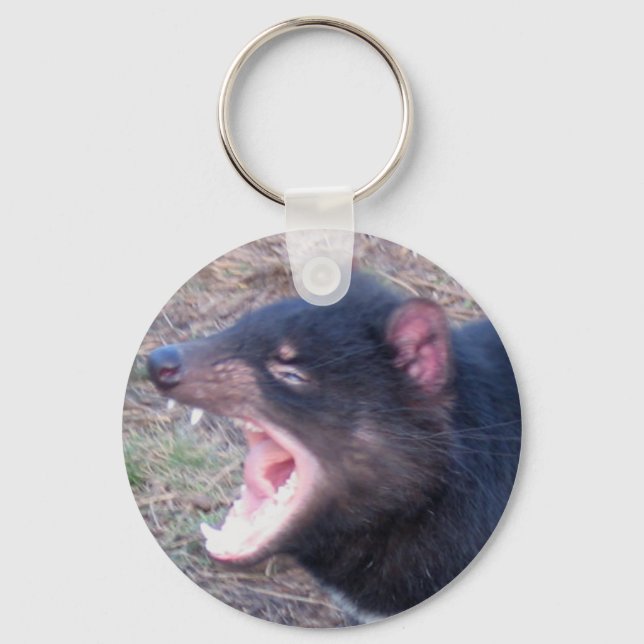 Tasmanian Devil - Keychain (Front)