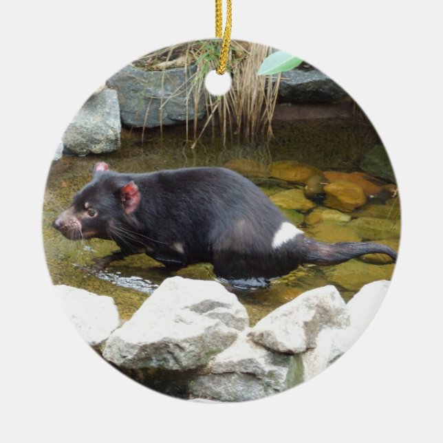 Tasmanian Devil Ornament (Front)