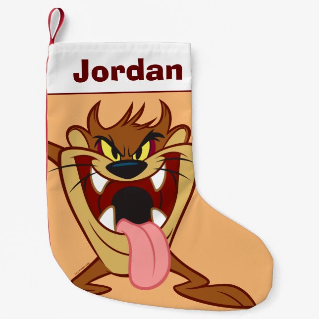 TASMANIAN DEVIL™ Standing Small Christmas Stocking (Front)