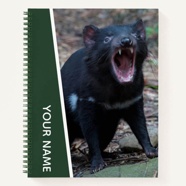 Tasmanian Devil, Tasmania, Australia, Green Notebook (Front)