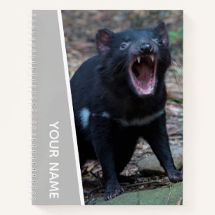 Tasmanian Devil, Tasmania, Australia, Silver Notebook