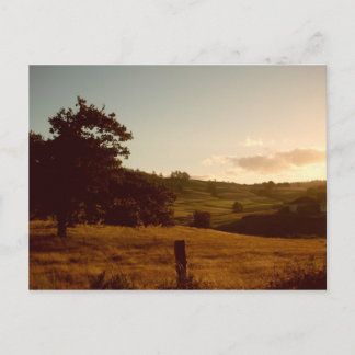 Tasmanian Summer Sunset Postcard