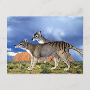 Tasmanian Tiger Postcards