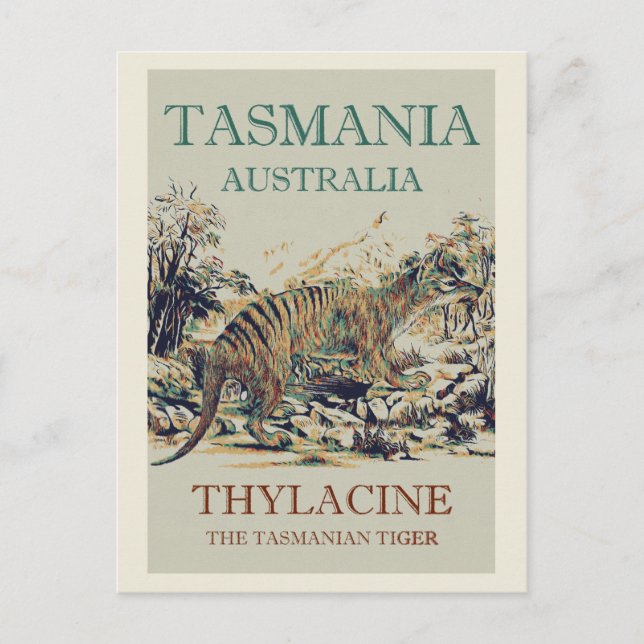 Tasmanian tiger, the thylacine, Tasmania Australia Postcard (Front)