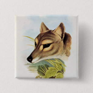 Tasmanian Wolf or Tiger 15 Cm Square Badge