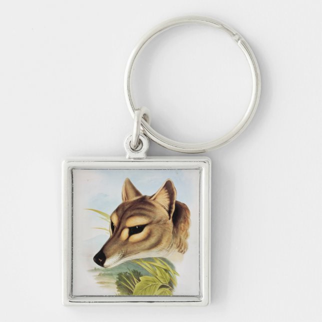 Tasmanian Wolf or Tiger Key Ring (Front)