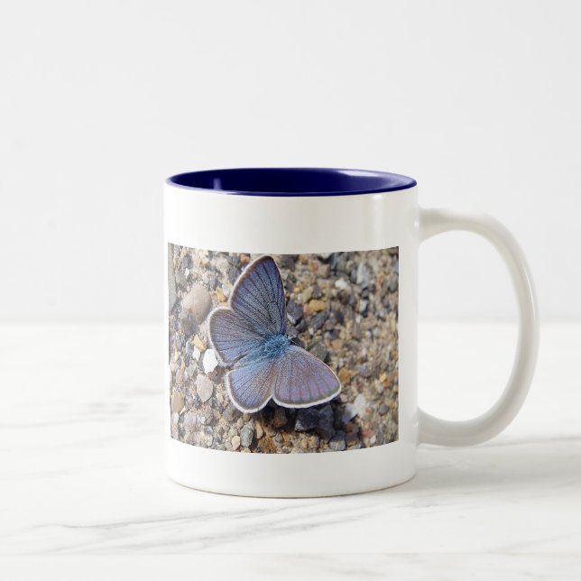 Tasse blauer Schmetterling Two-Tone Coffee Mug (Right)