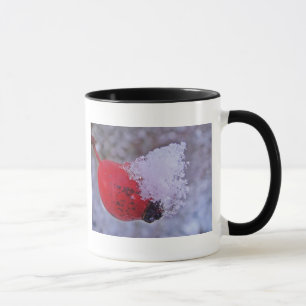 Tasse Hagebutte mit Schneehäufchen Mug