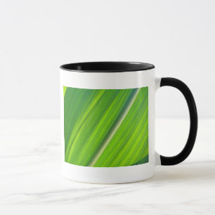 Tasse hellgrünes Maisblattdesign Mug