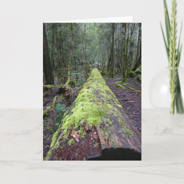 Tassie Tree Card (Front)