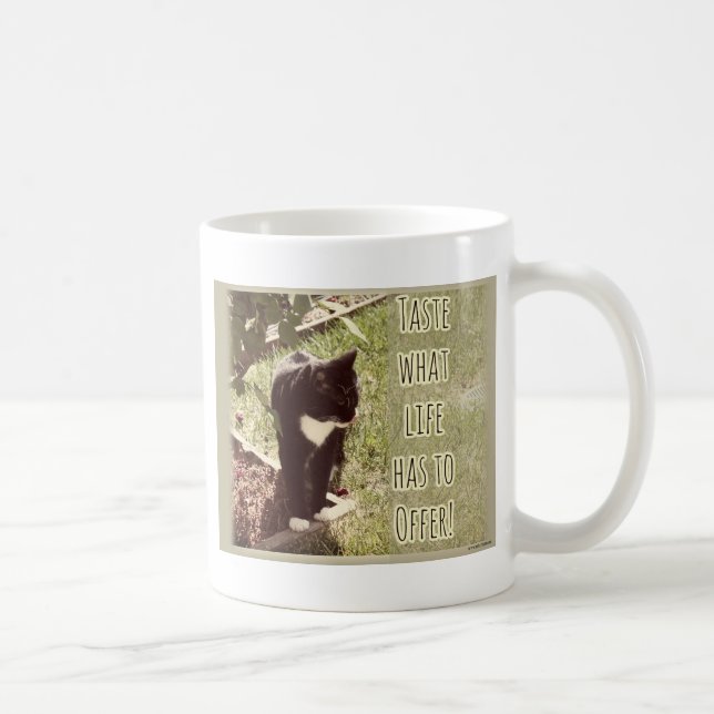 Taste of Life Cute Cat Photo Inspirational Quote Coffee Mug (Right)