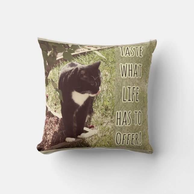 Taste of Life Motivating Cat Slogan Design Cushion (Front)