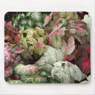 Taste of the Tropics Mouse Pad