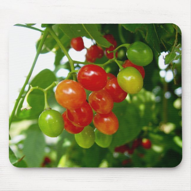 Taste the Berries Mouse Pad (Front)
