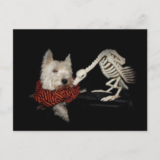 Tastes Like Chicken, Vulture & Westie Postcard