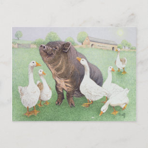 Tasty Morsel Postcard