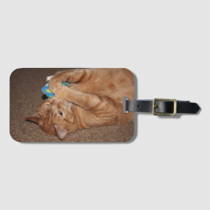 Tater luggage tag
