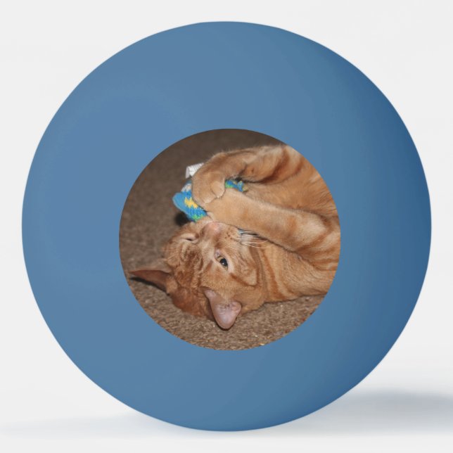 Tater Ping Pong Ball (Front)