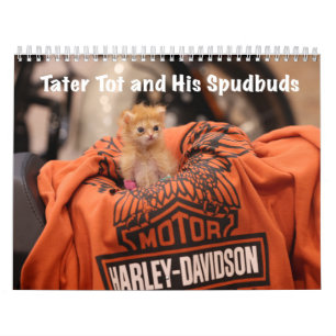 Tater Tot 2024 Calendar