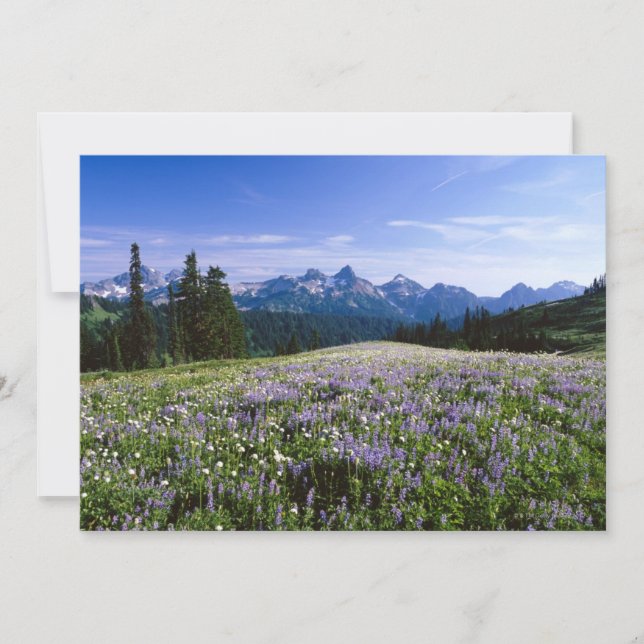 Tatoosh Mountain Range (Front)
