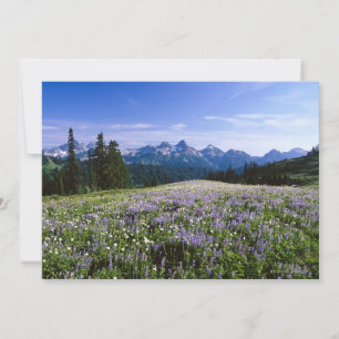Tatoosh Mountain Range