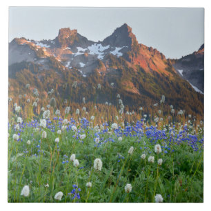 Tatoosh Range and Wildflowers   Mt. Rainier Ceramic Tile