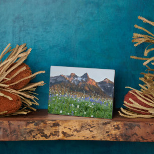 Tatoosh Range and Wildflowers   Mt. Rainier Plaque