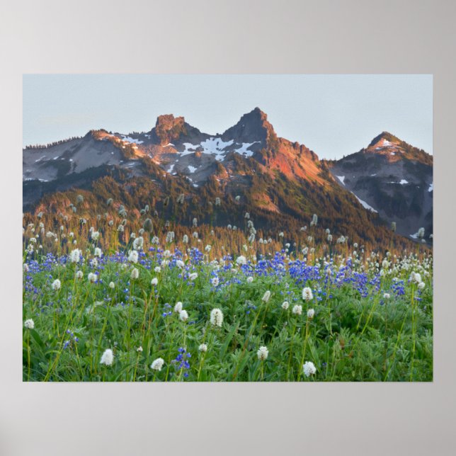 Tatoosh Range and Wildflowers | Mt. Rainier Poster (Front)
