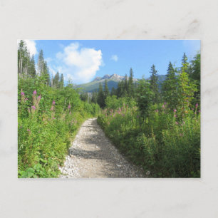 Tatras, Slovakia Postcard