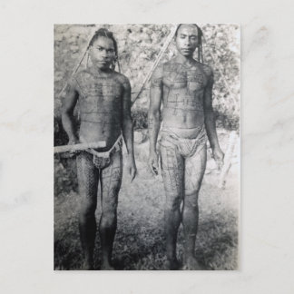 Tattooed Warriors of New Guinea Postcard