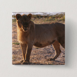 Tau, Lion, Photo 15 Cm Square Badge