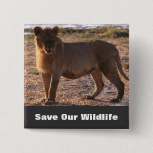 Tau Save Our Wildlife 15 Cm Square Badge