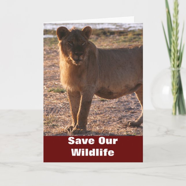 Tau Save Our Wildlife Greeting Card (Front)