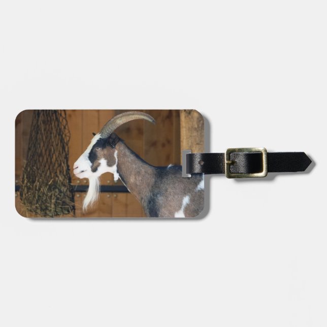 Tauernschecken-Ziege Luggage Tag (Front Horizontal)