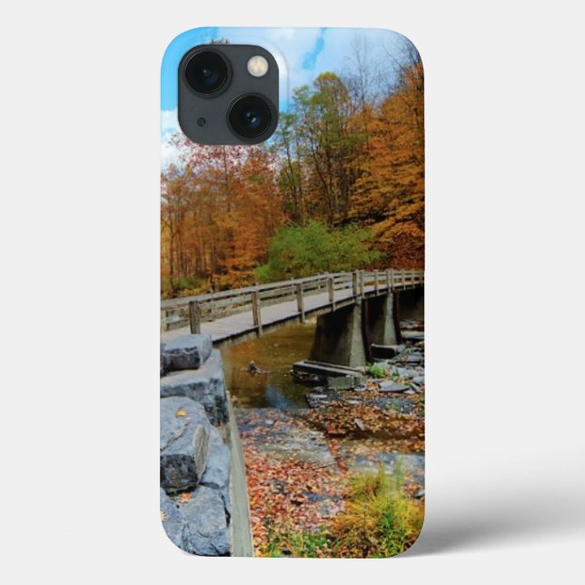 Taughannock Falls State Park Case-Mate iPhone Case (Back)
