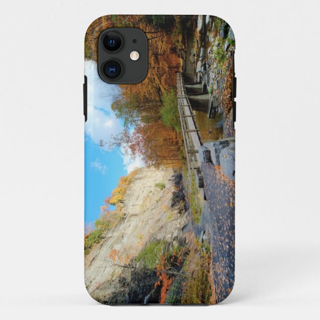 Taughannock Falls State Park Case-Mate iPhone Case (Back)