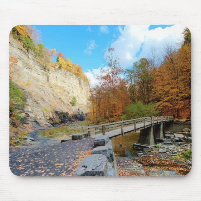 Taughannock Falls State Park Mouse Pad (Front)