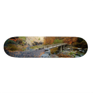 Taughannock Falls State Park Skateboard