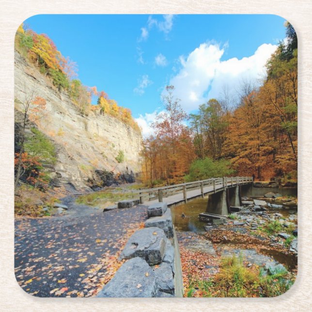 Taughannock Falls State Park Square Paper Coaster (Front)