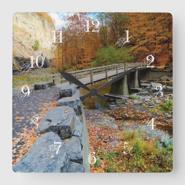 Taughannock Falls State Park Square Wall Clock (Front)