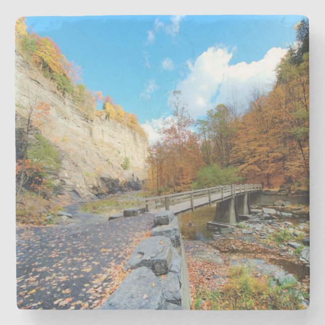 Taughannock Falls State Park Stone Coaster (Front)