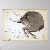 Taurus Astrological Drawing
