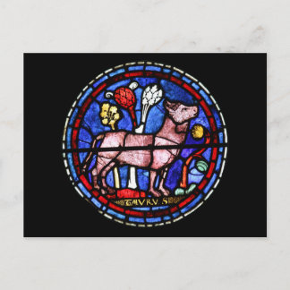 Taurus Astrology Stained Glass Windows Postcard
