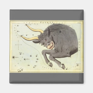 Taurus Bull, Vintage Constellation Urania's Mirror Magnet